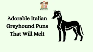 Adorable Italian Greyhound Puns That Will Melt