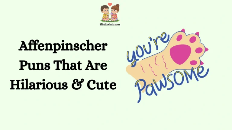 Affenpinscher Puns That Are Hilarious & Cute
