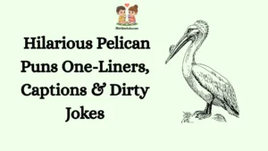 Hilarious Pelican Puns One-Liners, Captions & Dirty Jokes